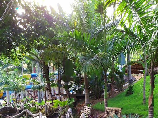 Recanto floresta lajinha mg