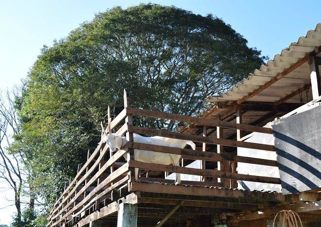 Hotel fazenda lagoa seca