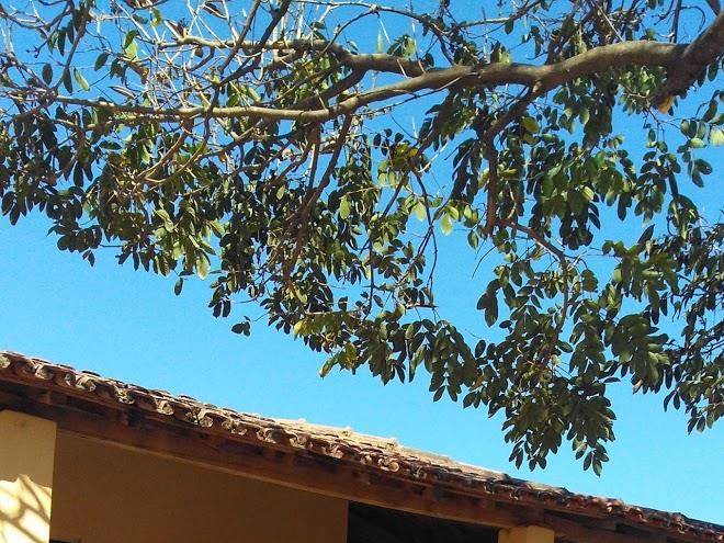 Restaurante e pousada dois irmaos