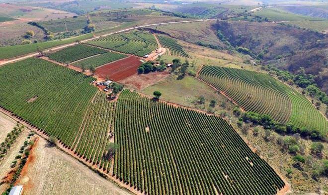 Sitio sao benedito