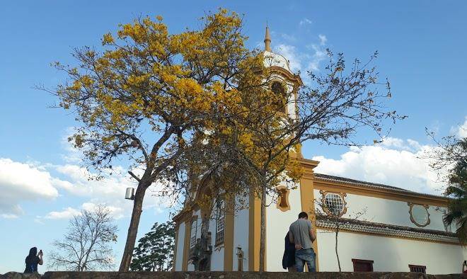 Antiquario & pousada da matriz
