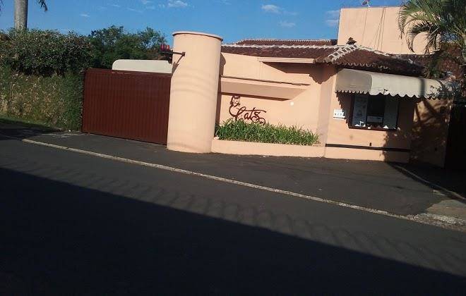 Cat's motel