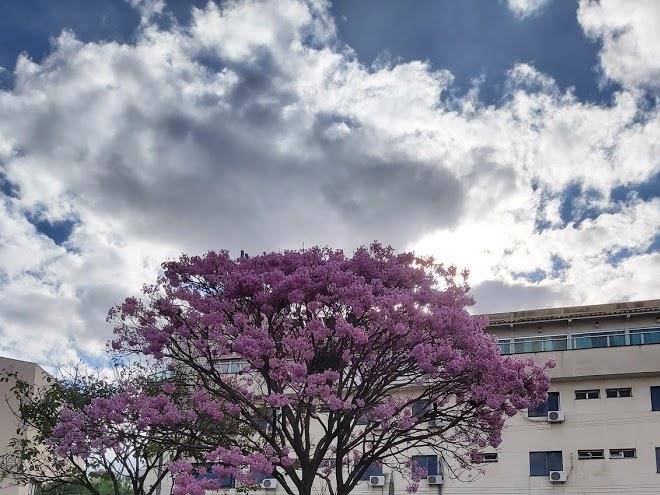 Abbas hotel uberlandia