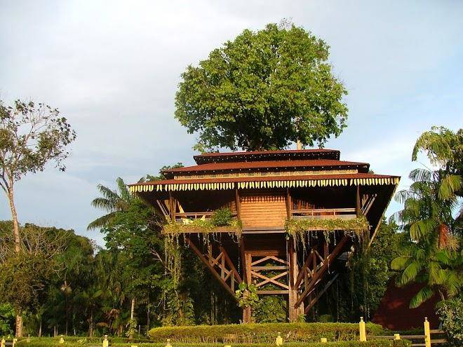 Samauma park hotel