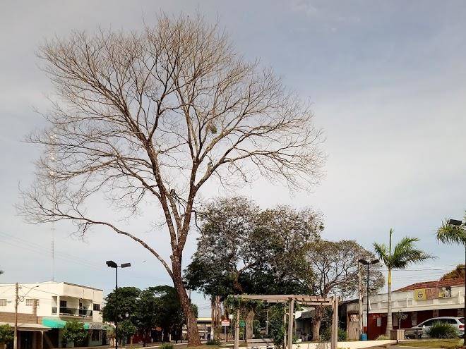 Hotel E Restaurante Mucajai Image