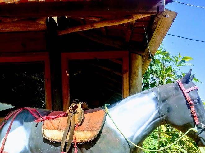 Rancho velho oeste