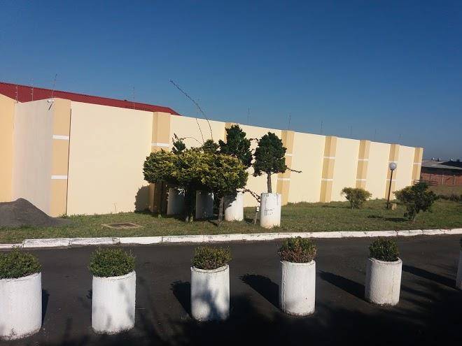 Motel bughaville