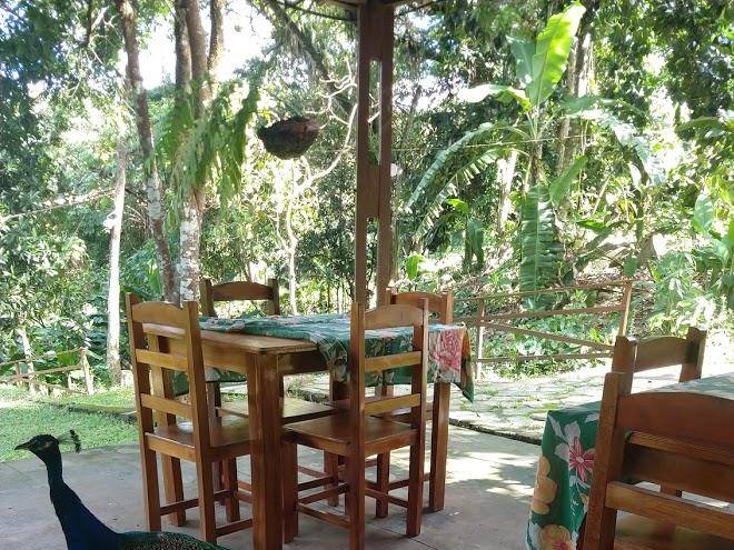 Bonito ecoparque