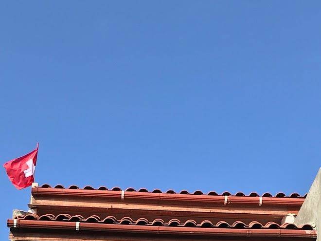 Os Girassois De Bluette Image