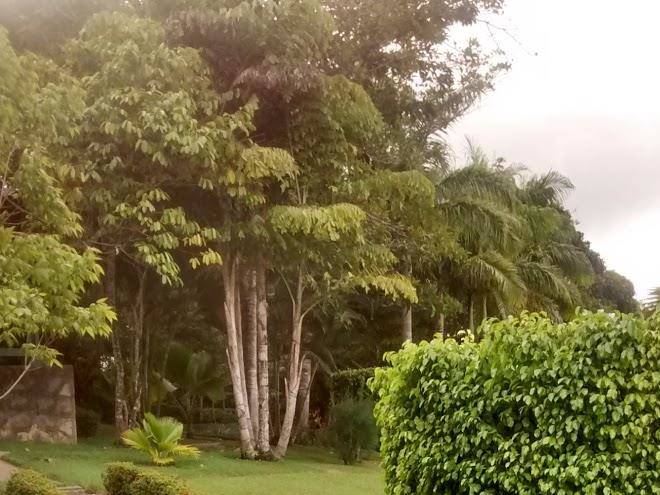 Granja nossa senhora da conceicao