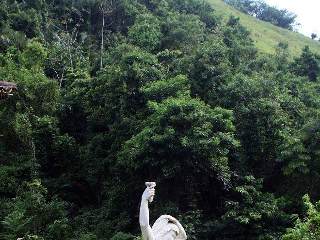 Fazenda agua encantada