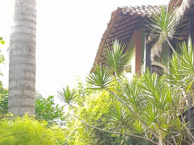 Pousada vivenda das bromelias