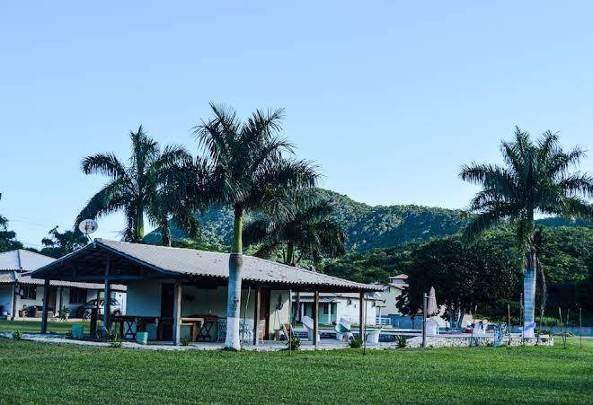 Voa serra verde