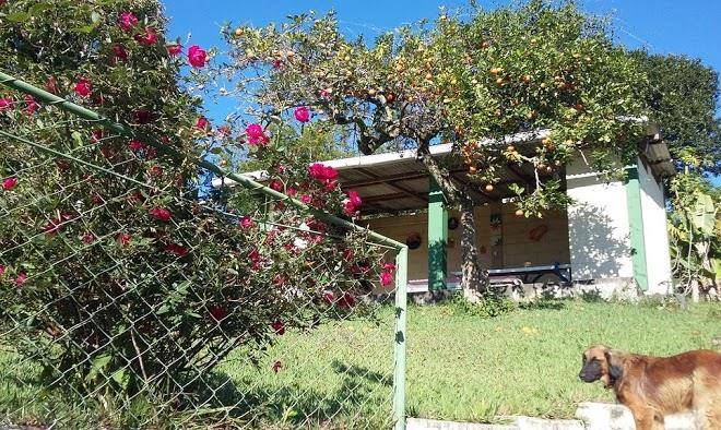 Sitio Alvorada Paty Image