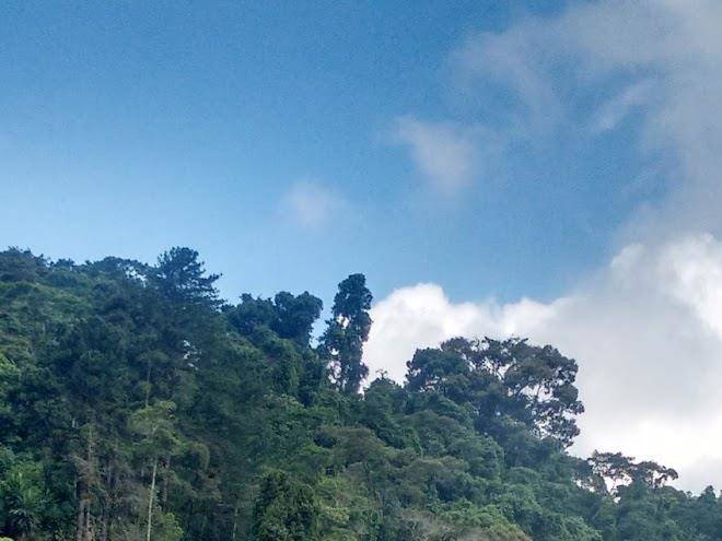 Pousada lake view