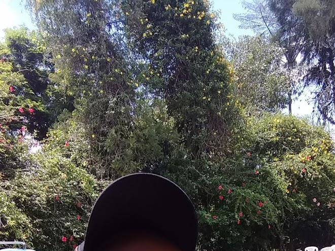 Pousada sollar do sertao