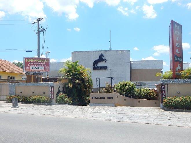 Motel stallion