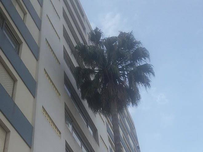 Hotel De Transito Image