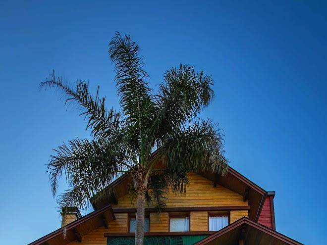 Hotel wood