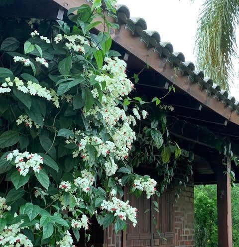 Recanto das aguias