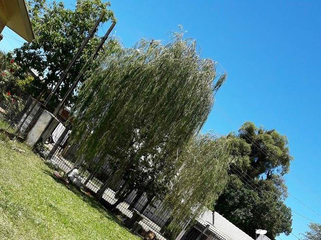 Motel sigilus