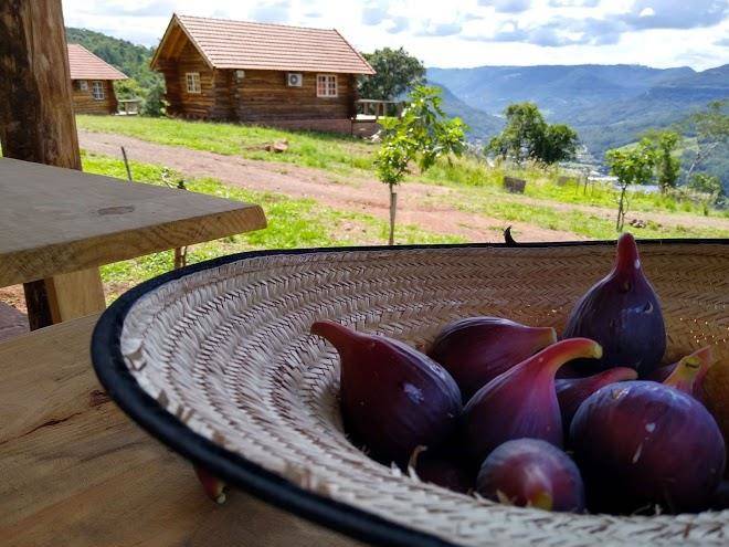 Hospedaria wild cabins parque ecologico morro do vento
