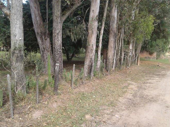 Rancho santo antonio coisas do rancho