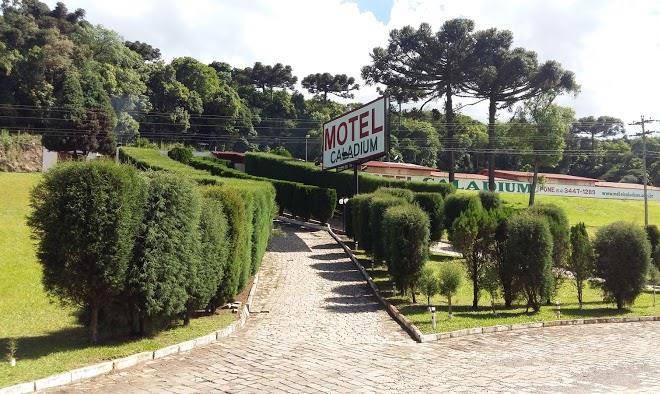 Motel caladium