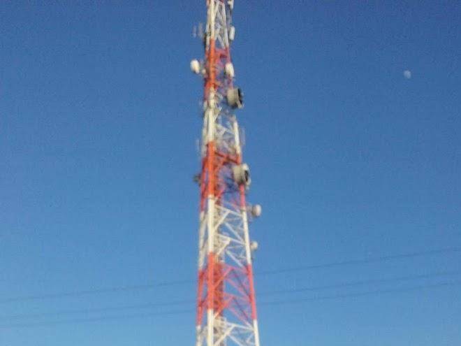 Walmor Lopes Dos Reis Image