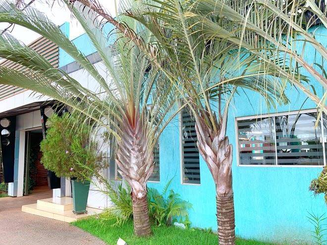 Hotel nippon rolim de moura