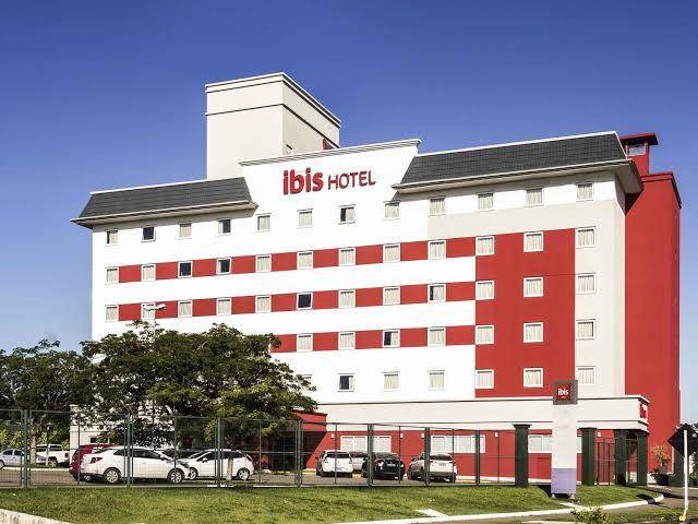 Ibis criciuma