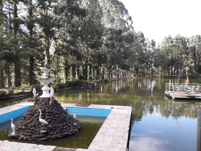 Parque hotel harry world