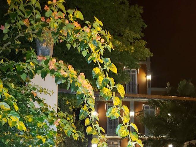Hotel pousada quinta da vila