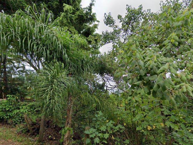 Parador praia do rosa