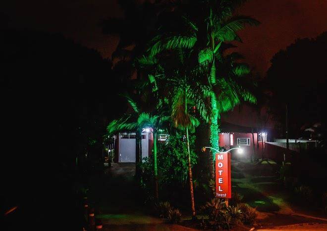 Motel forest