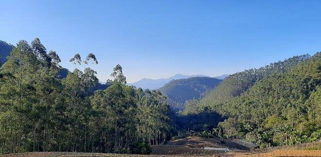 Sitio vo luizinho