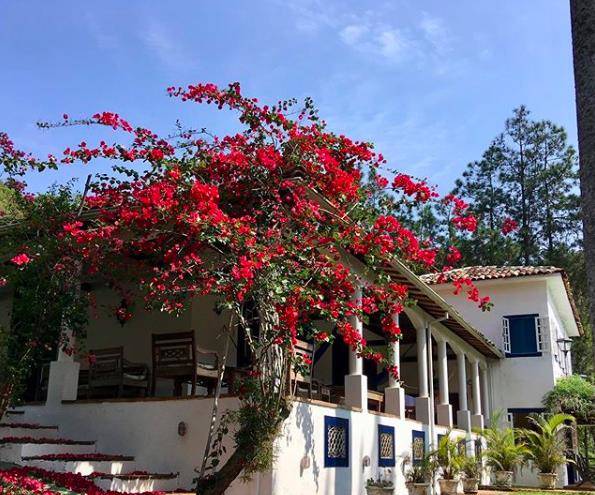 Fazenda sitio velho