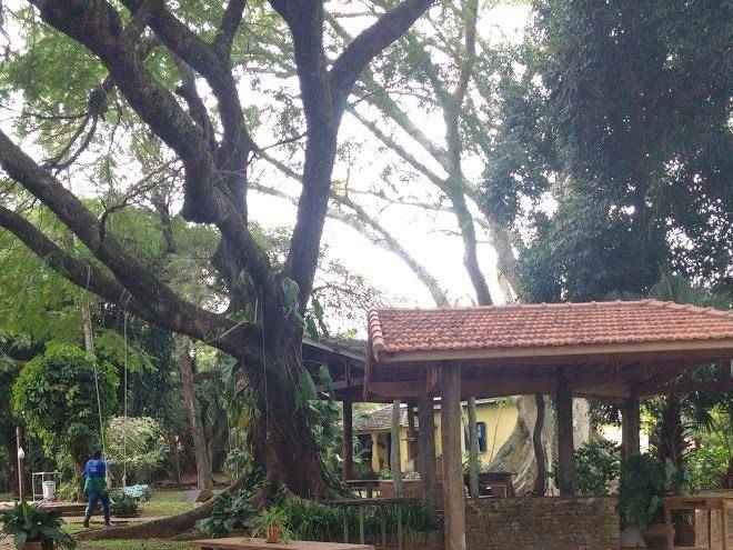 Fazenda agua sumida