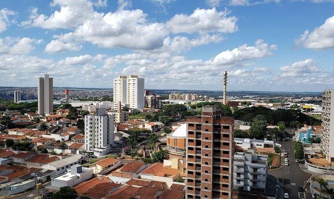 Blue tree garden bauru