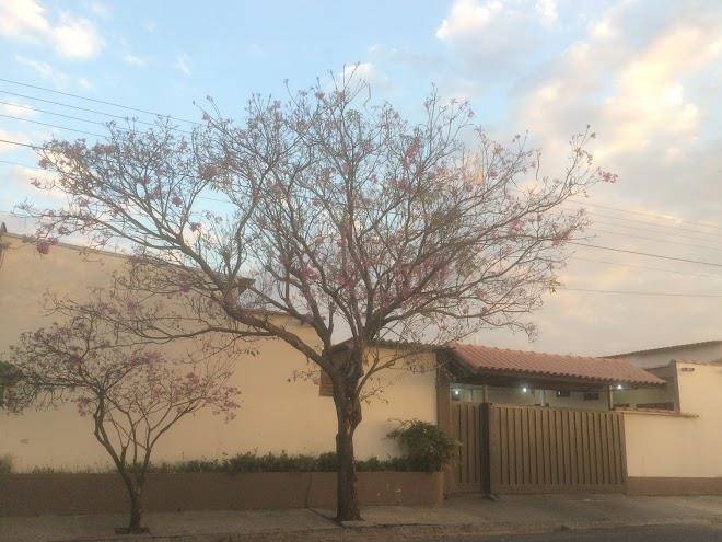 Pousada do ipe