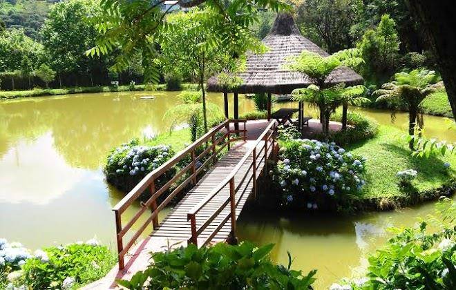 Hotel golden park campos