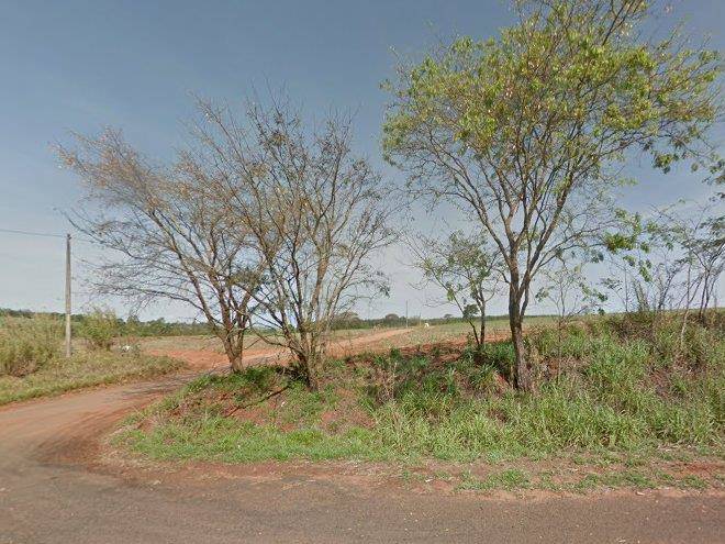 Floresta dos sonhos