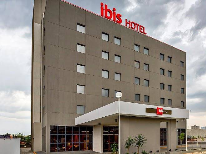 Ibis guaratingueta aparecida