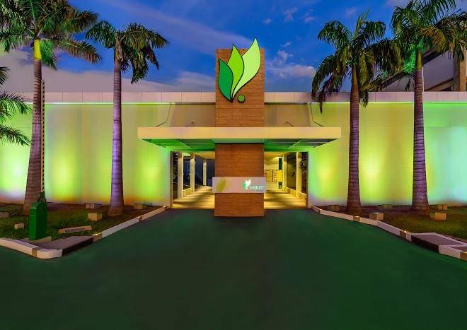Mint motel