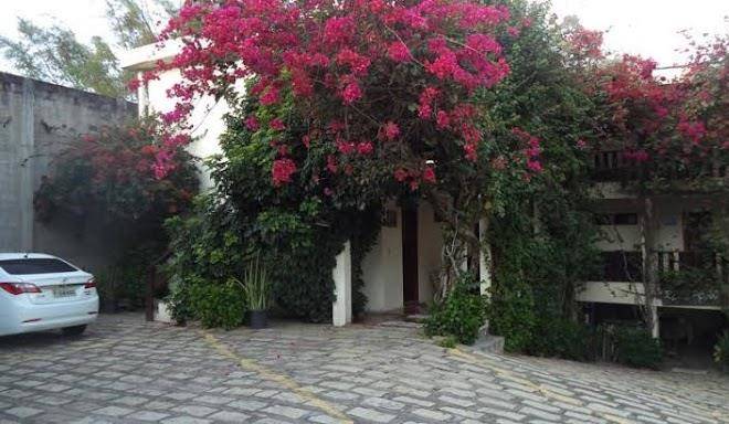 Chales xibayka