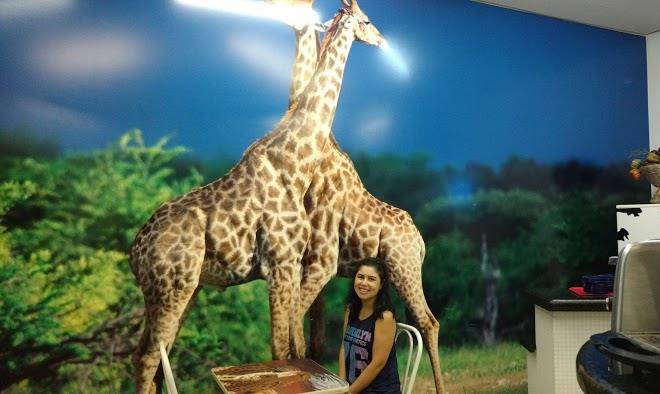 Hotel pousada do leao