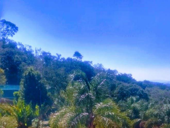 Recanto arouca