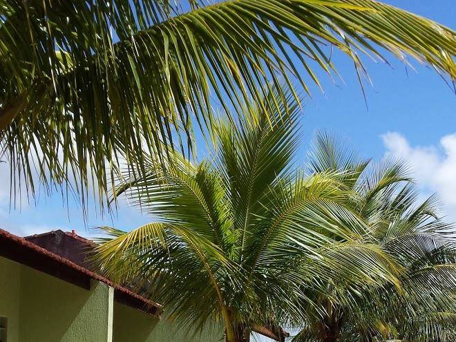 Hotel balneario mar