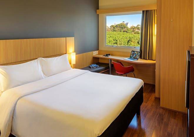 Ibis piracicaba