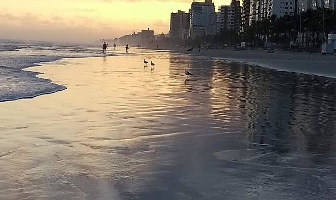 Vila caicara